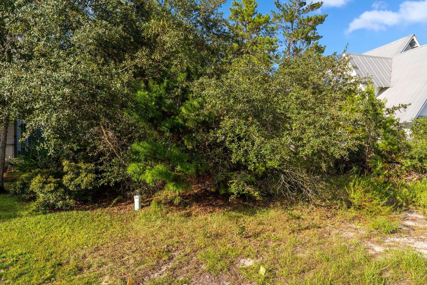 51 East Willow Mist Rd Inlet Beach Inlet Beach, FL 32461 - Photo 10 of 18 a view of a yard with plants and large trees