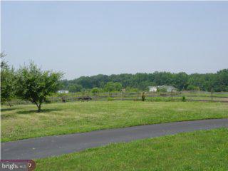 294 Ratledge Road Townsend, DE 19734 - Photo 5 of 5 Gallery Image 5