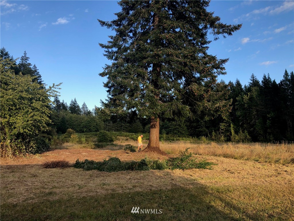 7310 Libby Road Northeast Olympia, WA 98506 - Photo 21 of 30 Gallery Image 21