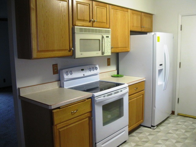 215 Linder Lane Rochelle, IL 61068 - Photo 12 of 19 a kitchen with a stove cabinets and refrigerator