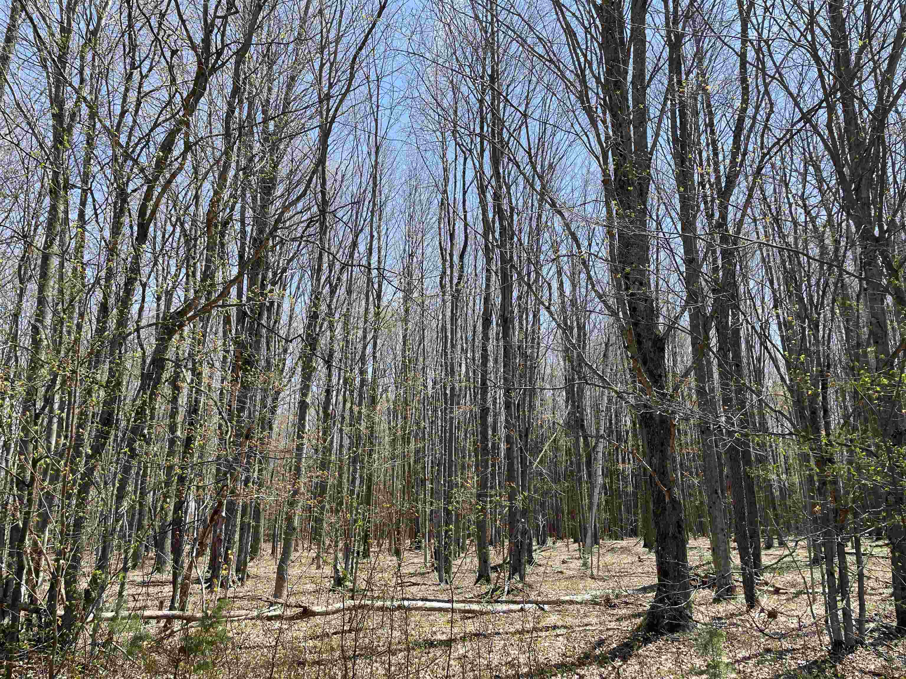 0 East 38 Road Cadillac, MI 49601 - Photo 13 of 39