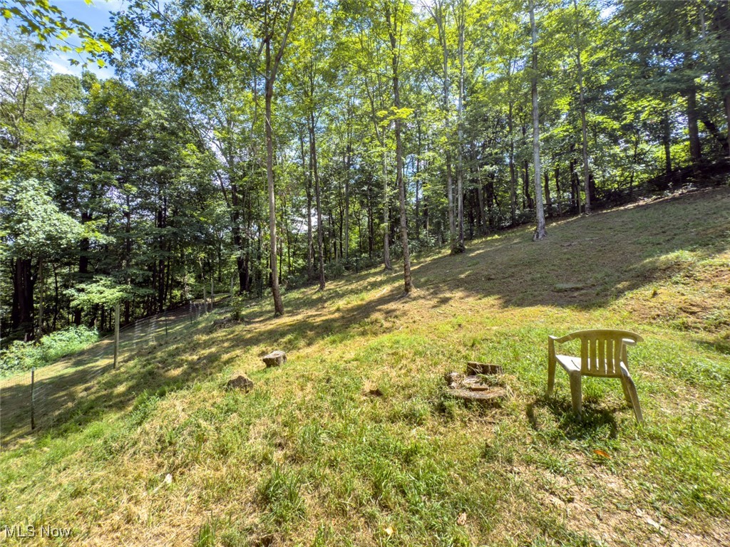 34390 Barber Ridge Road Lewisville, OH 43754 - Photo 33 of 50 View of green lawn with a view of trees