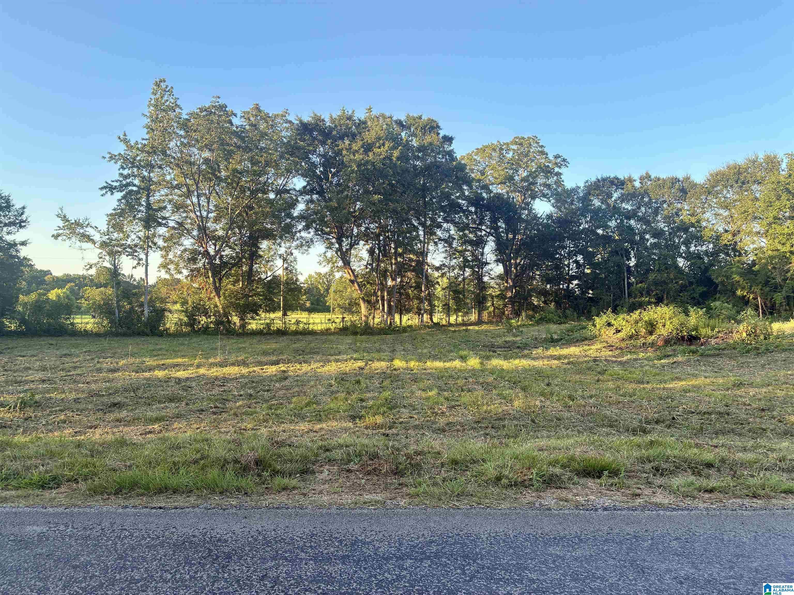 4409 County Road 232, Unit 1 Clanton, AL 35045 - Photo 3 of 3