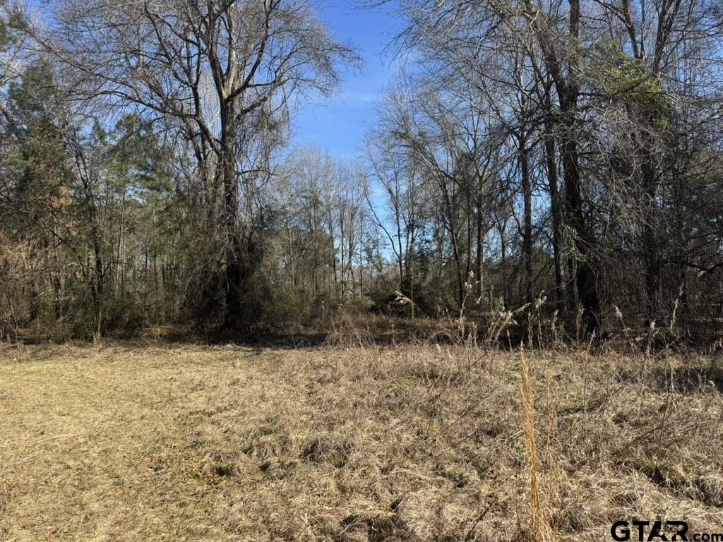 0 Timber Rdg Lane Whitehouse, TX 75791 - Photo 4 of 4 Gallery Image 4
