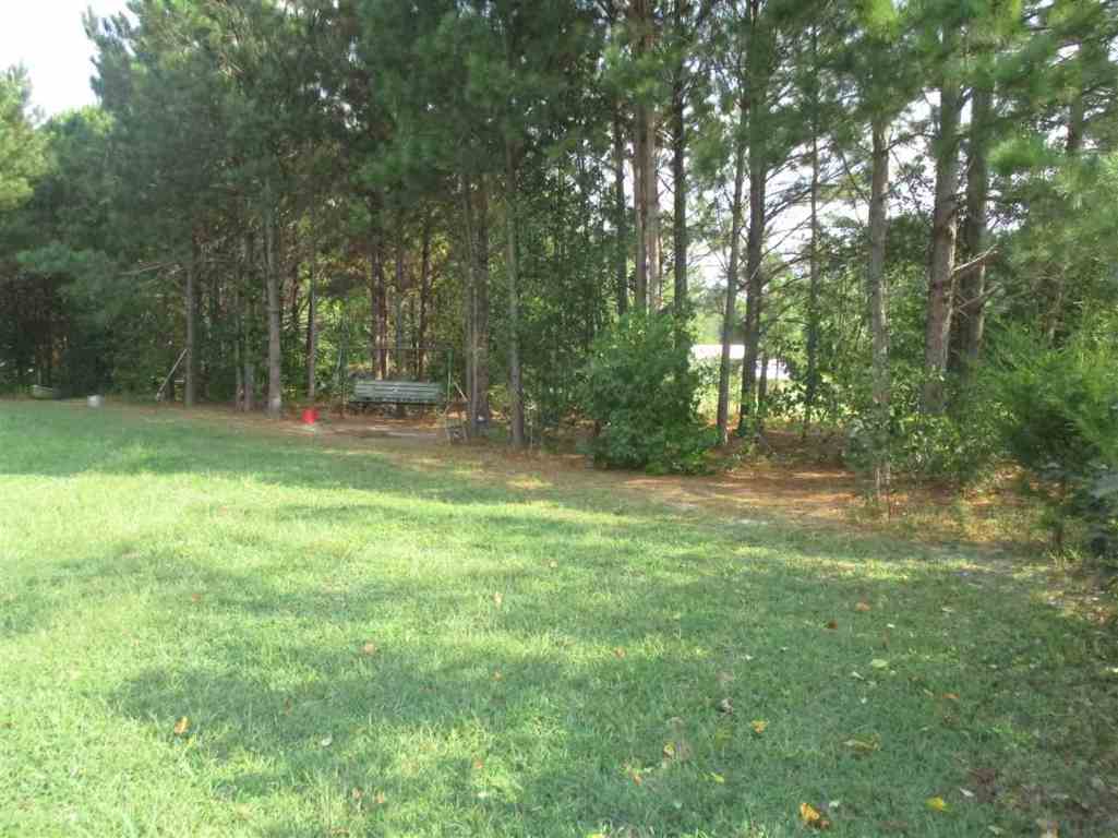 269 Clardy Road Pelzer, SC 29669 - Photo 6 of 28