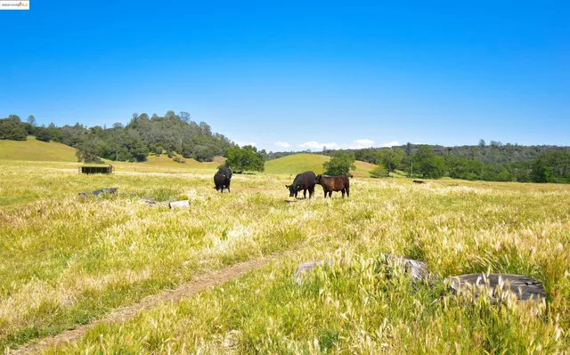 $3,400,000 | 9325 Fraguero Road, Sonora, CA 95370