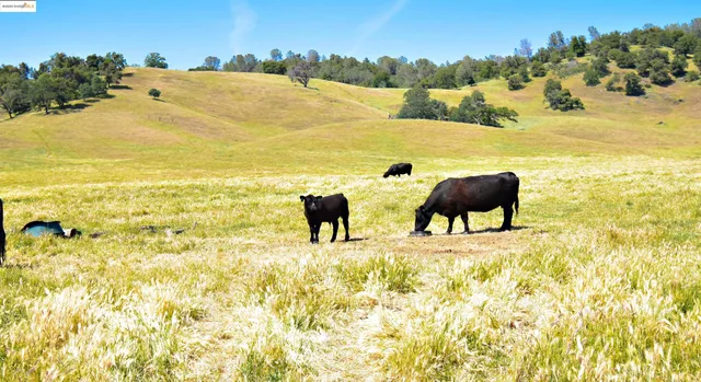 $3,400,000 | 9325 Fraguero Road, Sonora, CA 95370