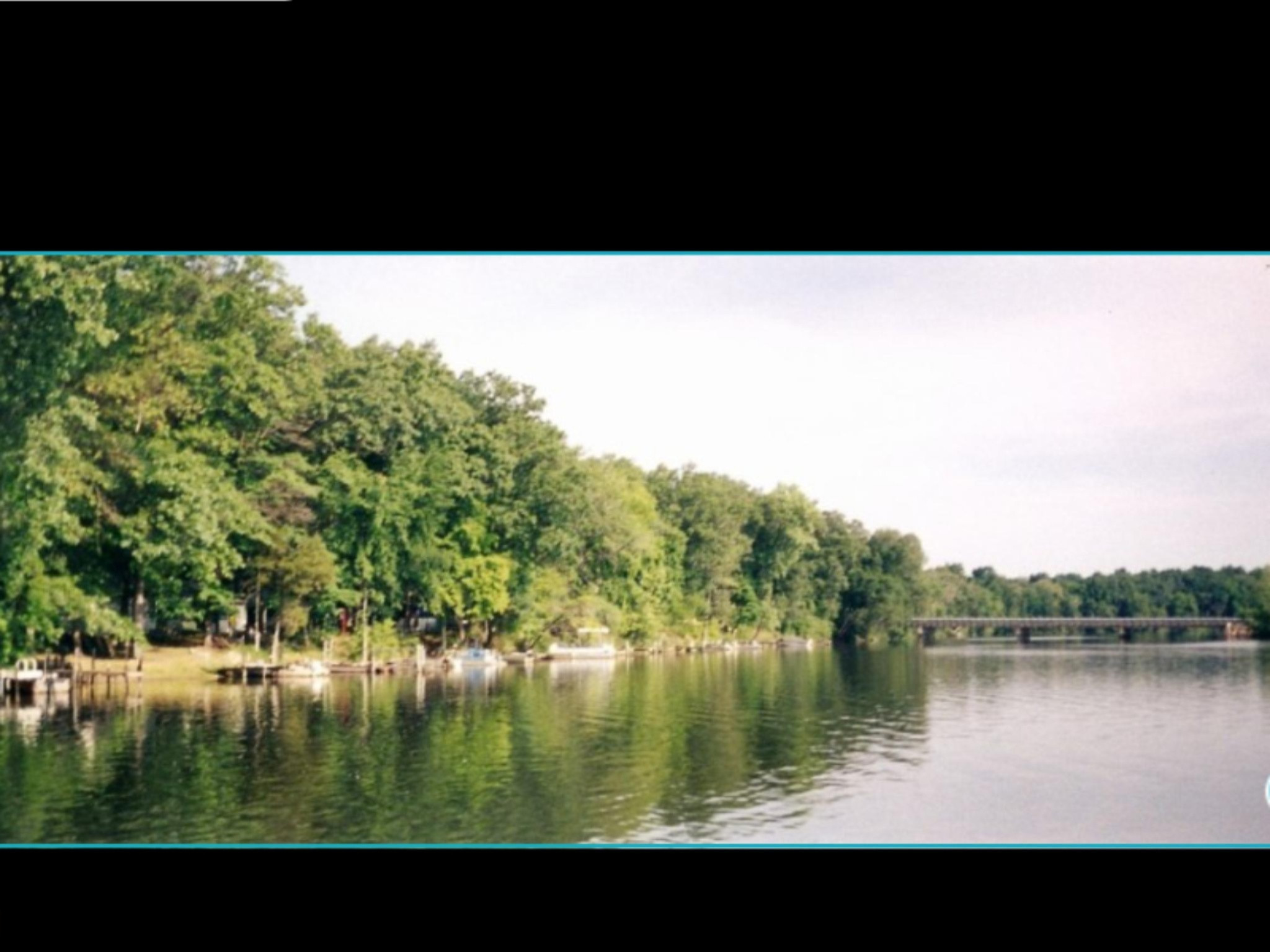 15717 Withers Road Constantine, MI 49042 - Photo 11 of 21 Camp Withers docks looking north