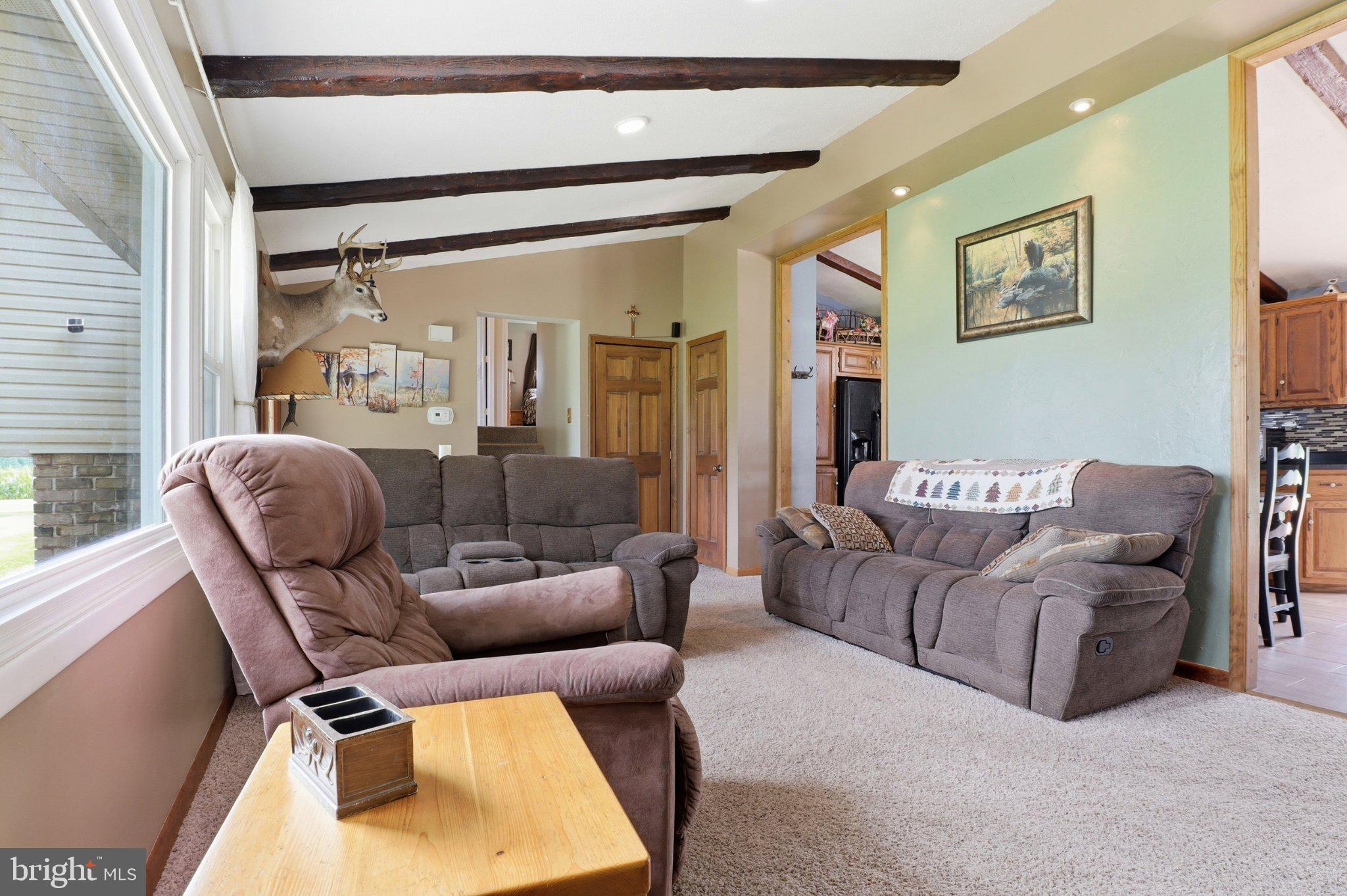119 Raubenstine Road Hanover, PA 17331 - Photo 6 of 48 Cozy living space with rustic charm.