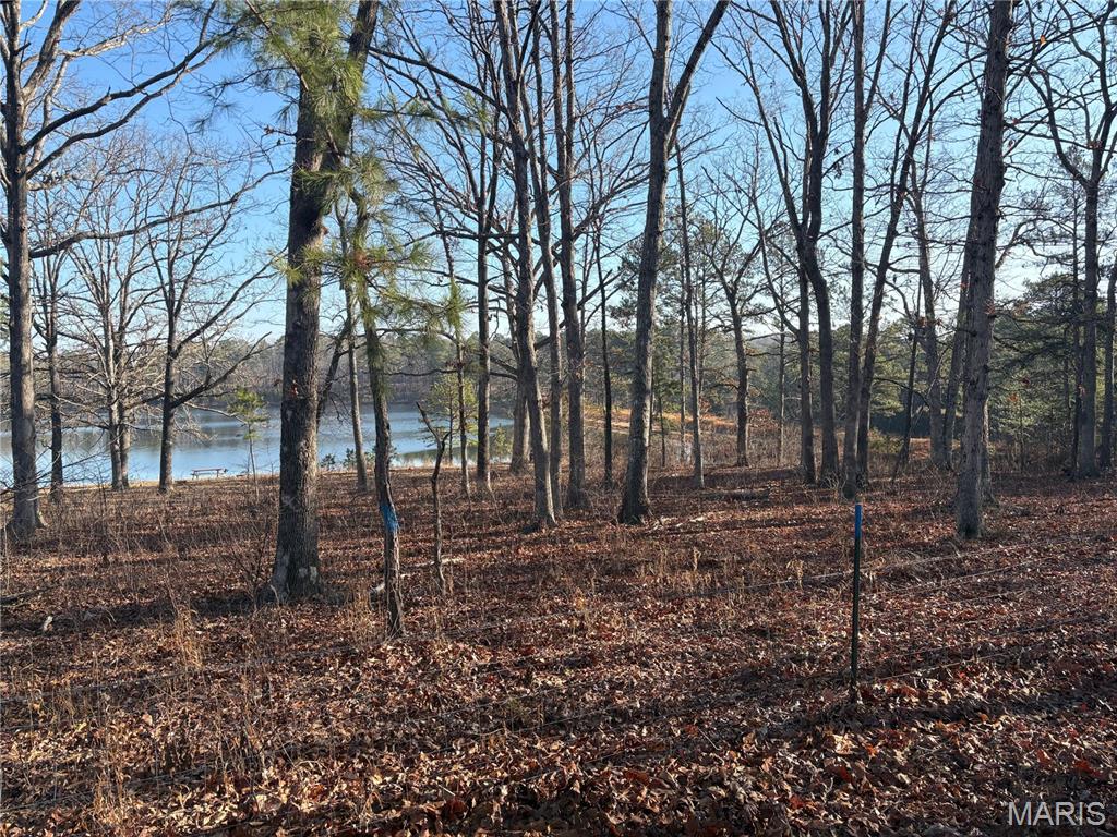 748 Miller Lake Road Van Buren, MO 63965 - Photo 2 of 10