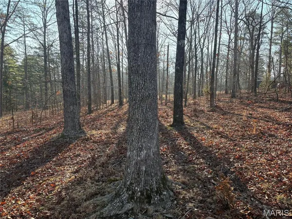 $21,995 | 748 Miller Lake Road, Van Buren, MO 63965