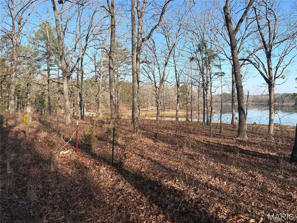 $21,995 | 748 Miller Lake Road, Van Buren, MO 63965