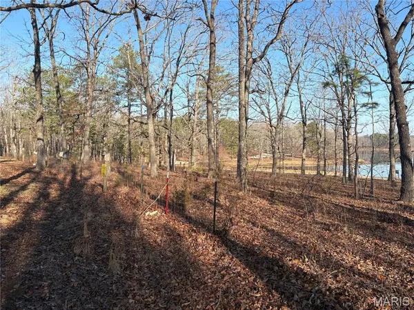 $21,995 | 748 Miller Lake Road, Van Buren, MO 63965