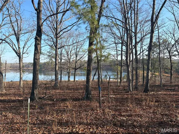 $21,995 | 748 Miller Lake Road, Van Buren, MO 63965