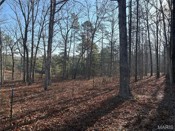 $21,995 | 748 Miller Lake Road, Van Buren, MO 63965