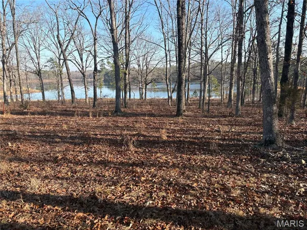 $21,995 | 748 Miller Lake Road, Van Buren, MO 63965