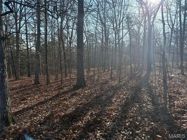 $21,995 | 748 Miller Lake Road, Van Buren, MO 63965