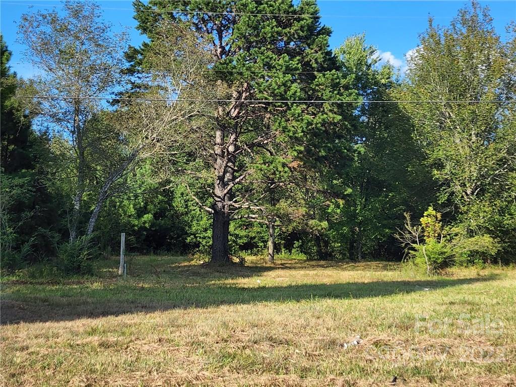 1513 Long Branch Road Grover, NC 28073 - Photo 3 of 5 a view of a yard with a trees