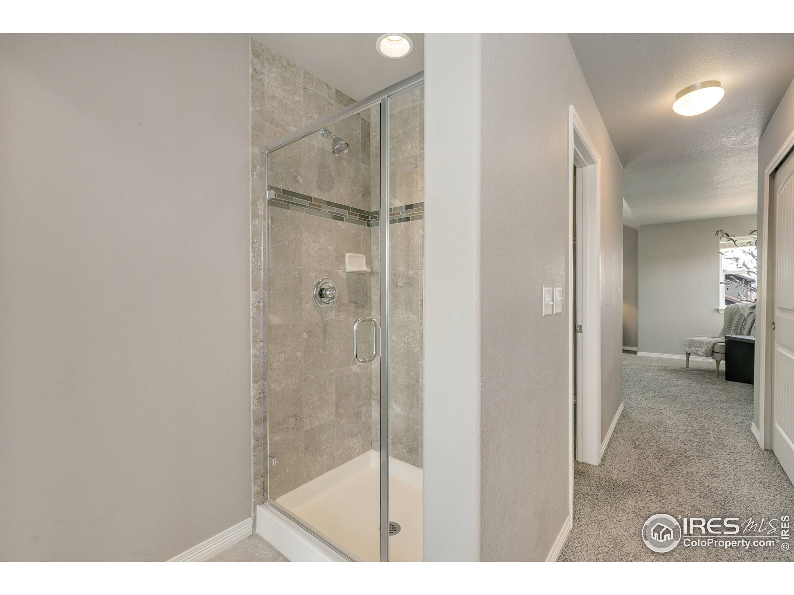 5643 Bristow Road Timnath, CO 80547 - Photo 18 of 26