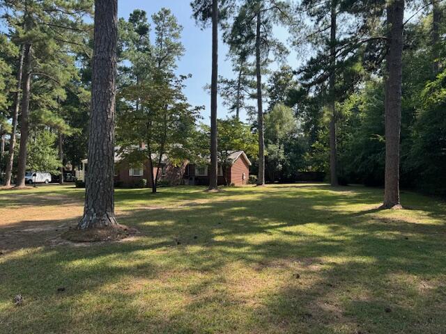 843 Brandy Road Aiken, SC 29801 - Photo 3 of 24