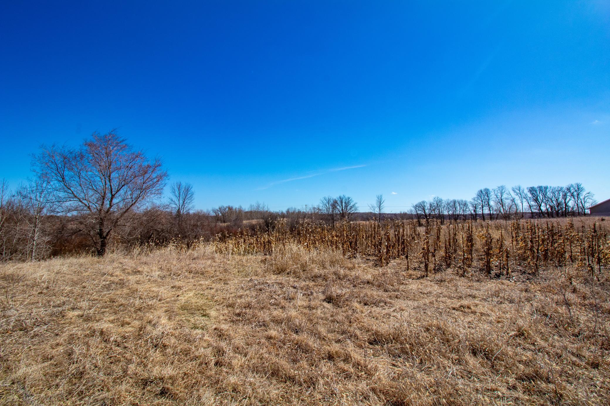 37675 395th Street Dent, MN 56528 - Photo 3 of 18