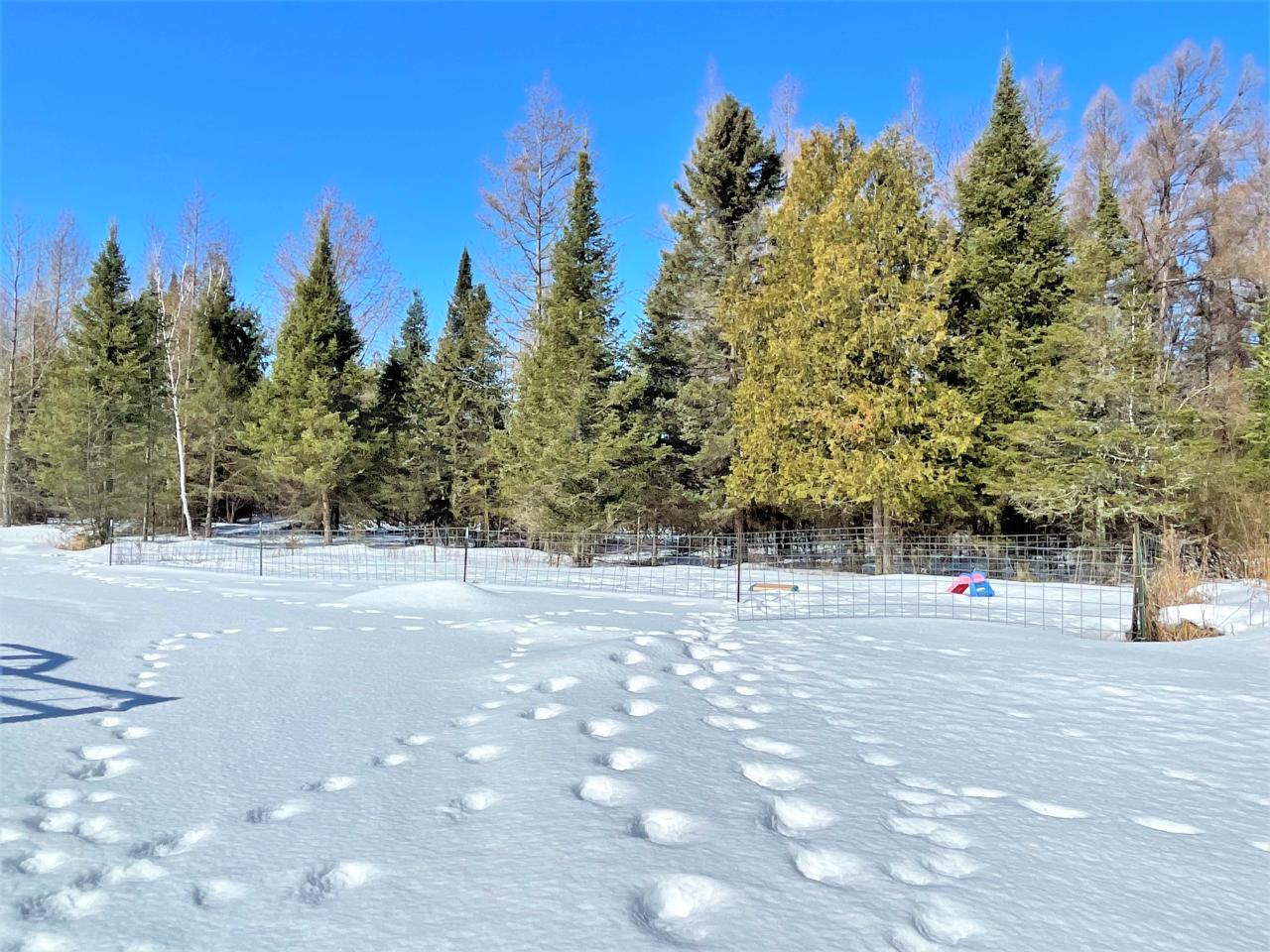 N595 Soumi Road Ogema, WI 54459 - Photo 12 of 70 Gallery Image 12