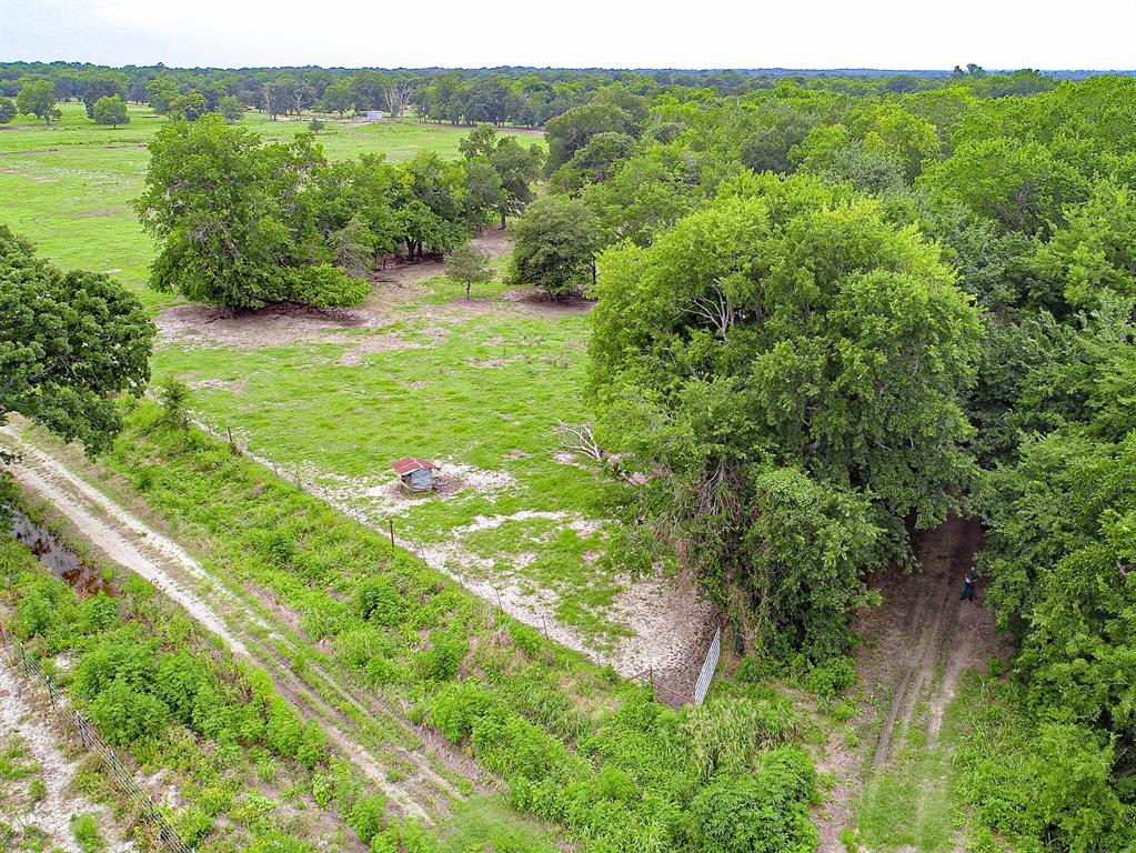 3280 Ws Rail Road Franklin, TX 77856 - Photo 6 of 10