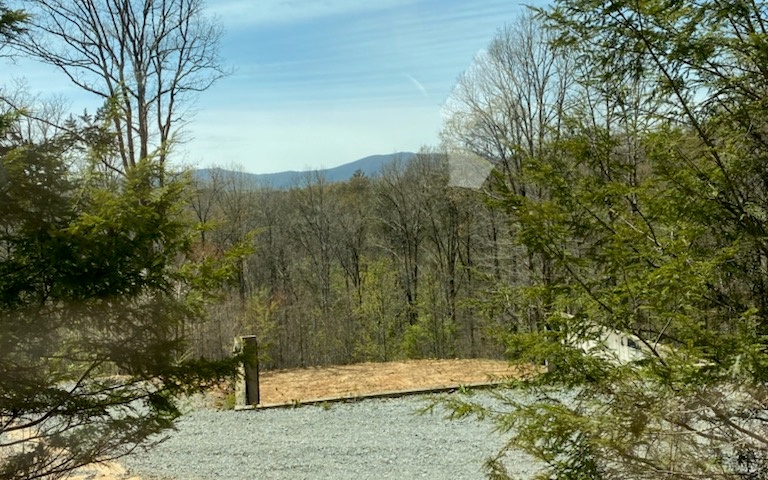 42 Brookhaven Lane Blue Ridge, GA 30513 - Photo 2 of 4 Additional View