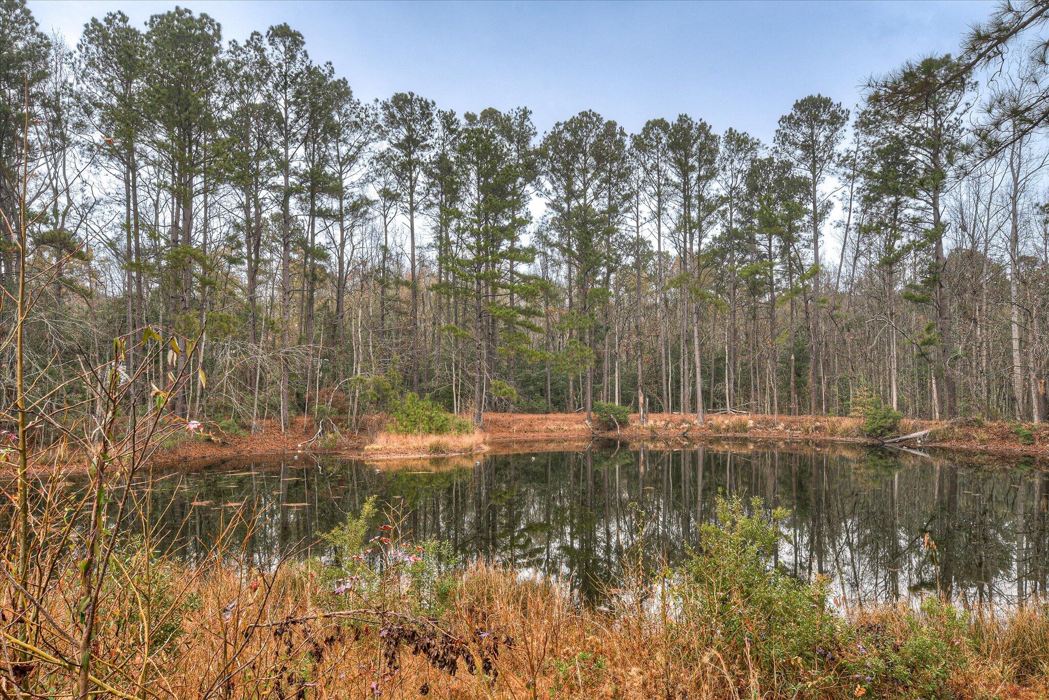 900 County Line Road Harlem, GA 30814 - Photo 55 of 56 56-156