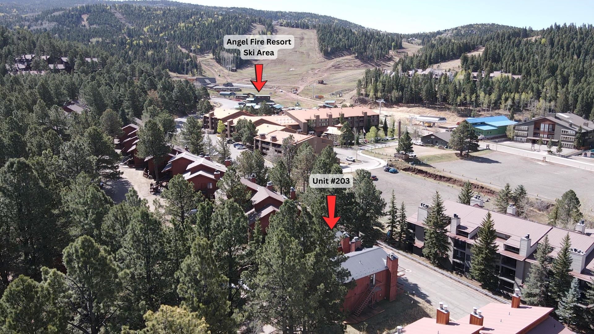 35 North Angel Fire Road, Unit 203 Angel Fire, NM 87710 - Photo 2 of 25 Gallery Image 2