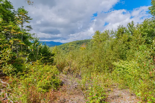 $275,000 | Lot 86 Powder Ridge, Newry, ME 04261