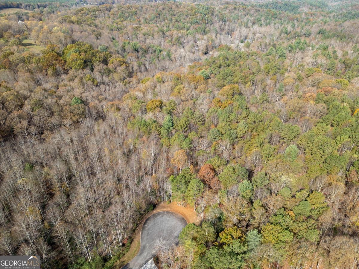 Lot 7 Highpoint Ridge Road, Unit 7 Ellijay, GA 30536 - Photo 12 of 29 Gallery Image 12
