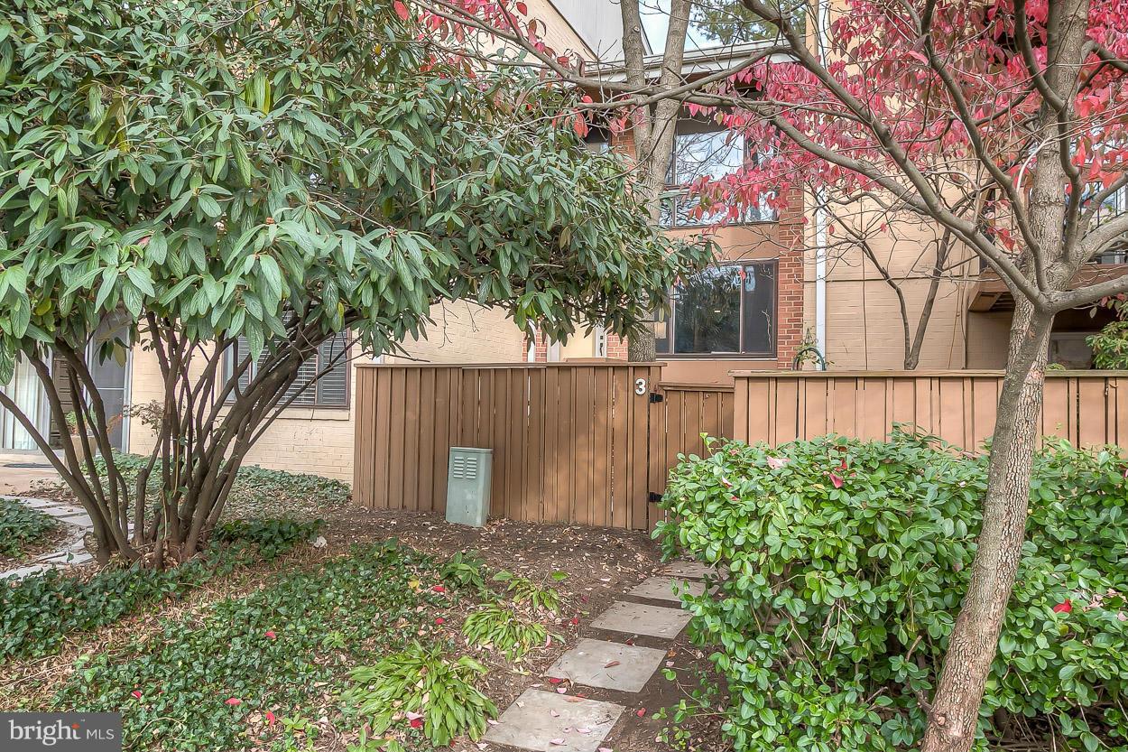 3 Cross Keys Road Baltimore, MD 21210 - Photo 25 of 29 a backyard of a house with lots of green space