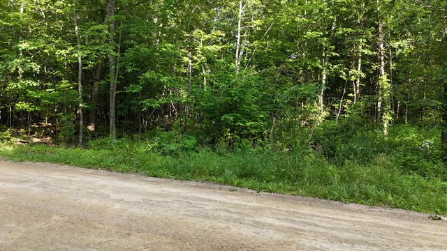 $45,000 | Lot 3-12 Shady Lane, Newport, ME 04953