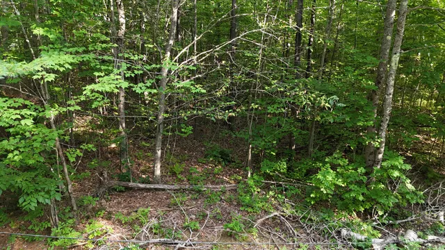 $45,000 | Lot 3-12 Shady Lane, Newport, ME 04953