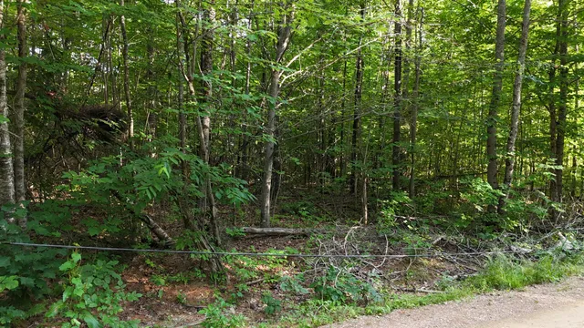 $45,000 | Lot 3-12 Shady Lane, Newport, ME 04953