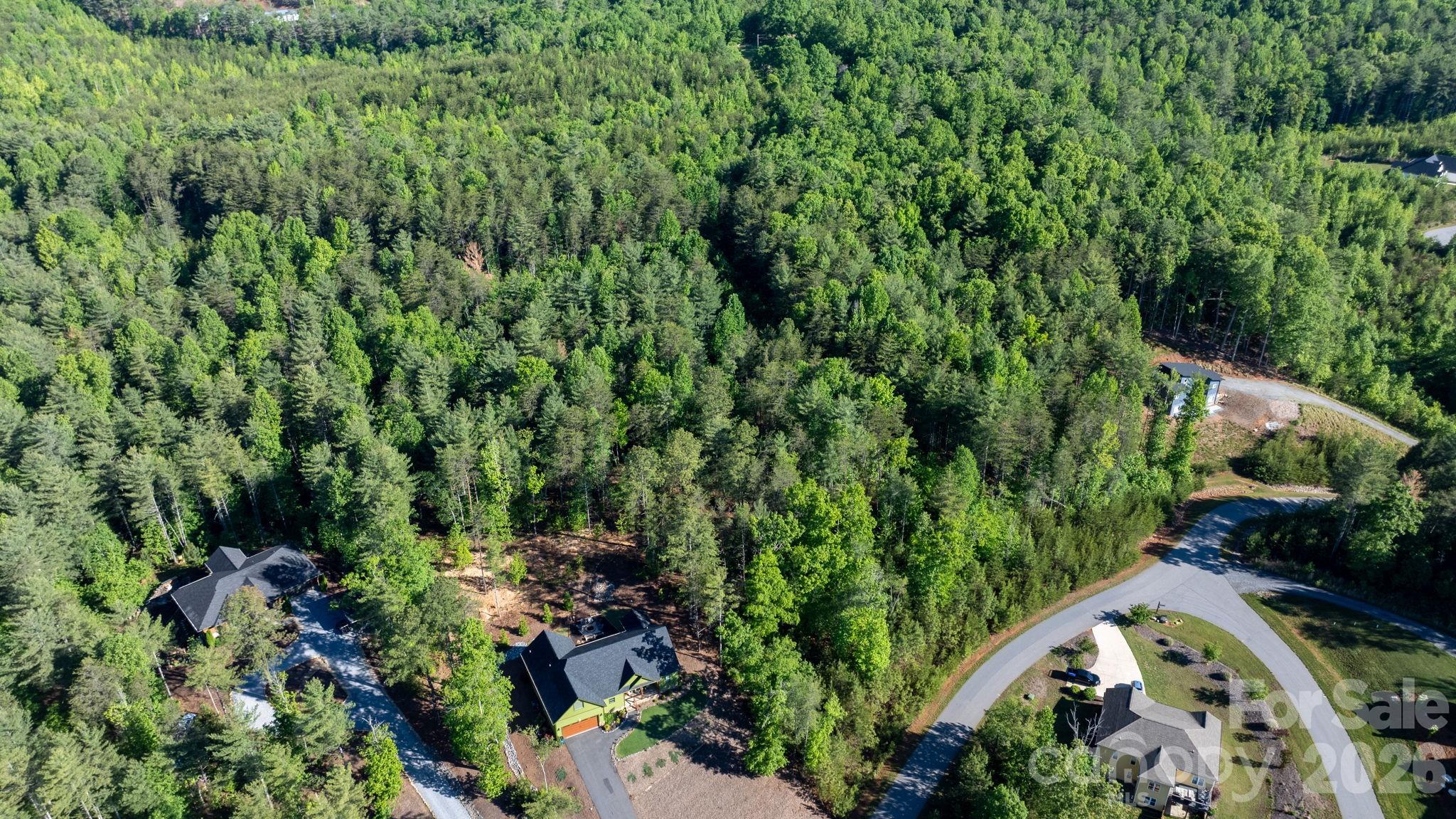 3030 Channel View Cove Morganton, NC 28655 - Photo 11 of 25