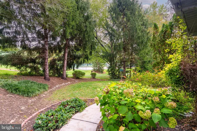 a view of a yard with plants and trees
