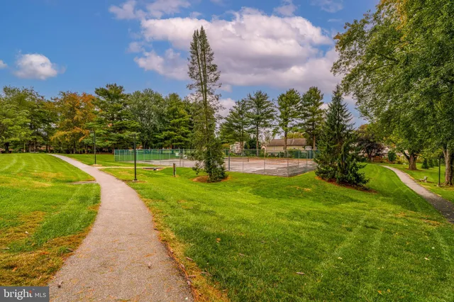 a view of a park with large trees