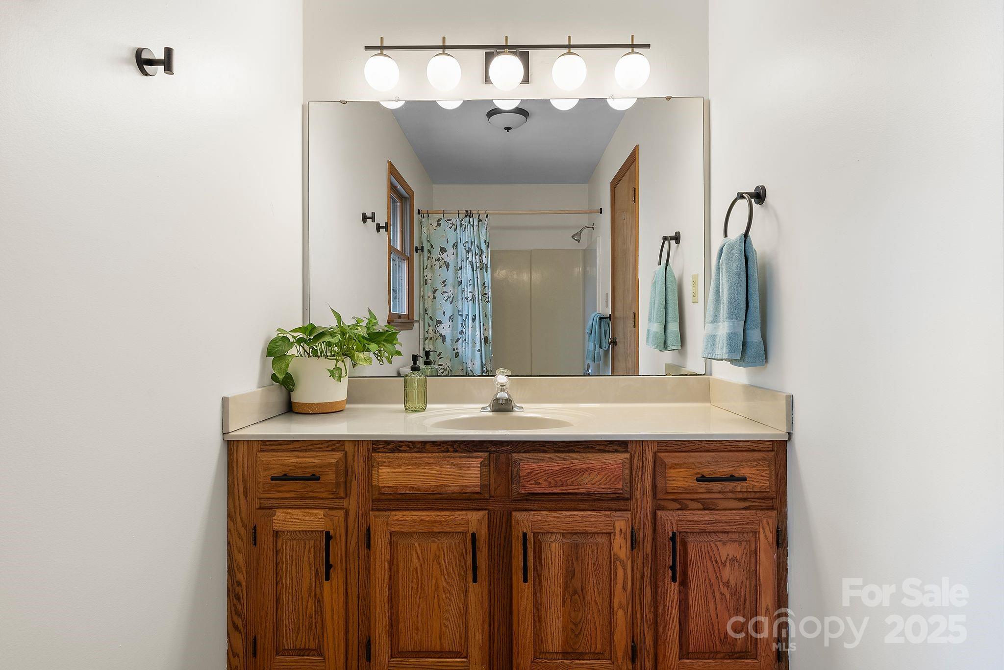 2020 New Stock Road Weaverville, NC 28787 - Photo 19 of 30 Gallery Image 19