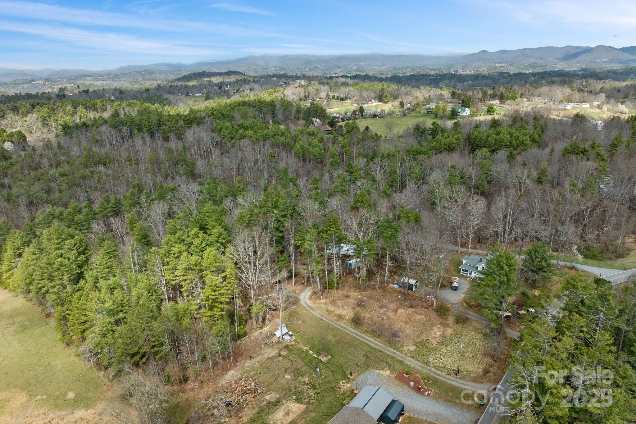 2020 New Stock Road Weaverville, NC 28787 - Photo 30 of 30 Gallery Image 30