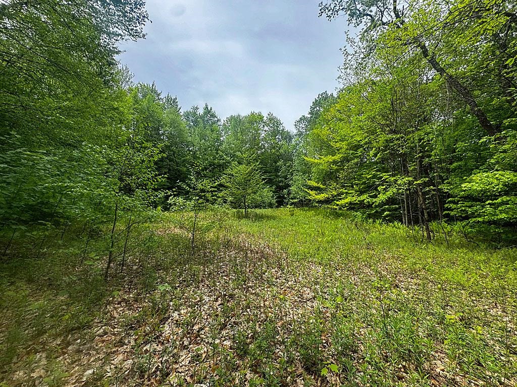 0 Spencer Meadows, Unit 5 Rutland, VT 05701 - Photo 9 of 12