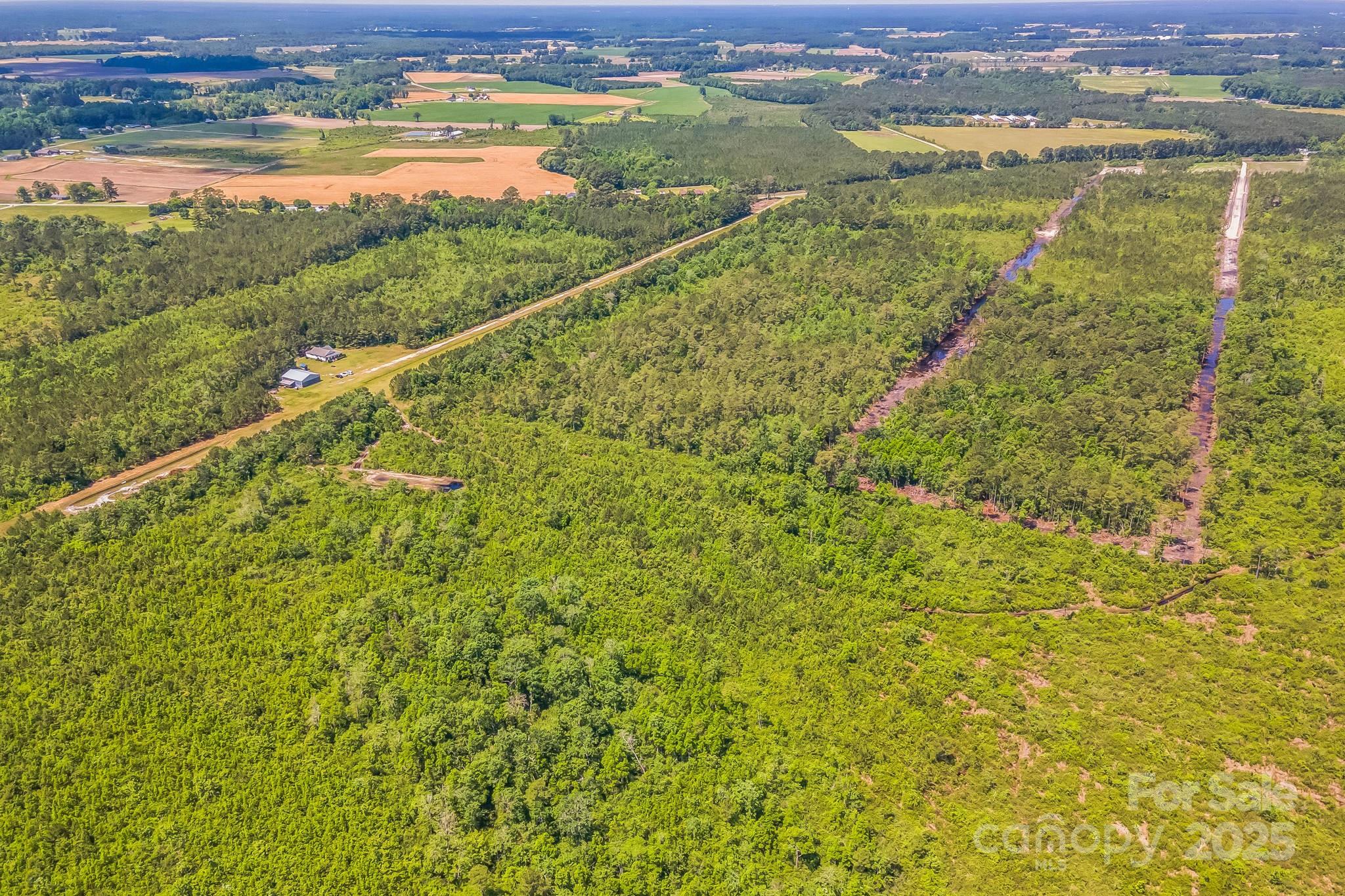397 Fountaintown Road Beulaville, NC 28518 - Photo 9 of 28 Gallery Image 9
