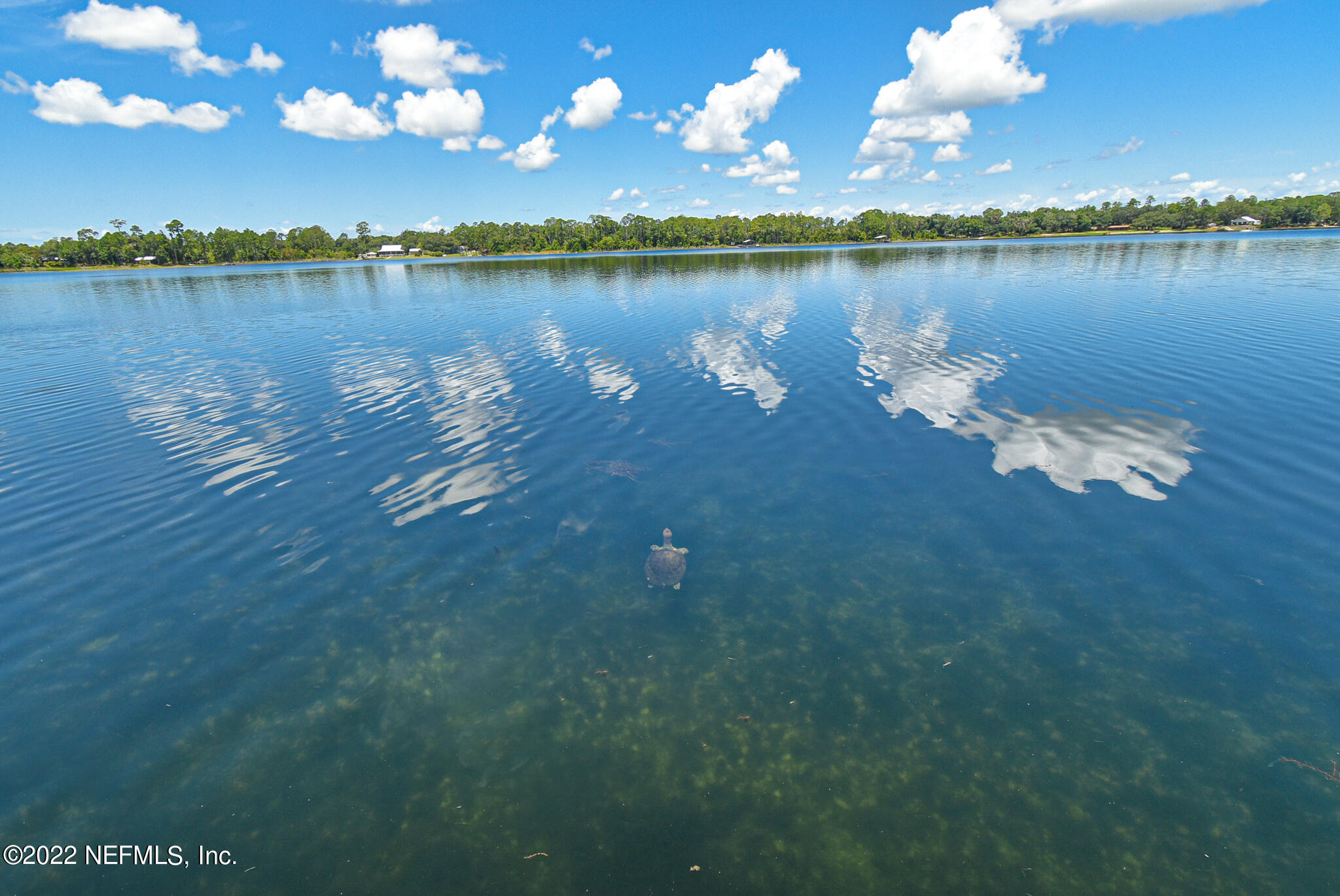 105 Tallow Road Pomona Park, FL 32181 - Photo 42 of 55 a view of a lake in a city