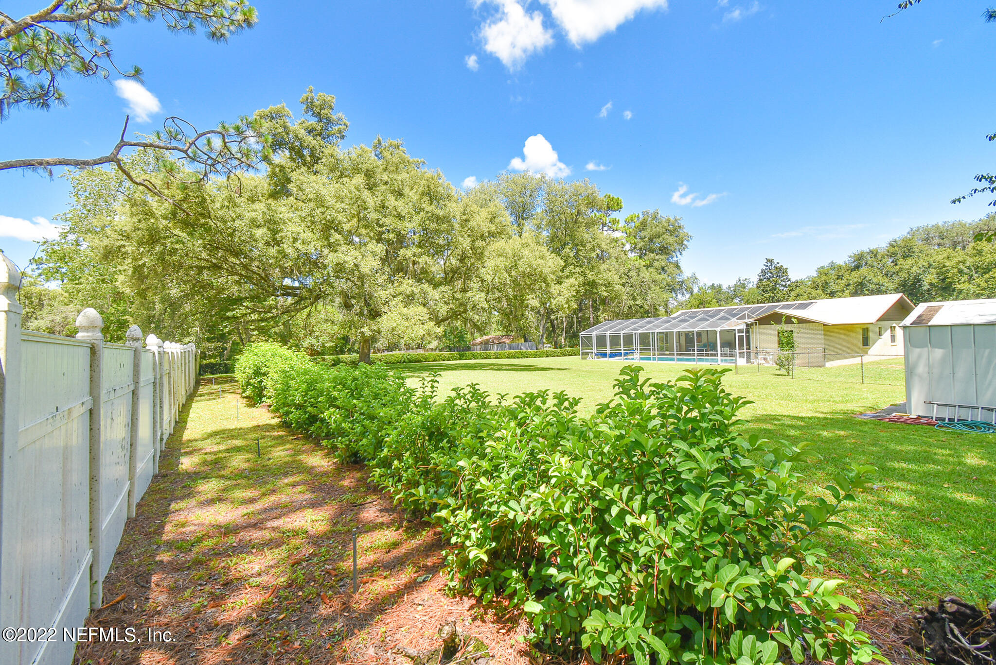 105 Tallow Road Pomona Park, FL 32181 - Photo 50 of 55 a view of a yard with plants and large trees