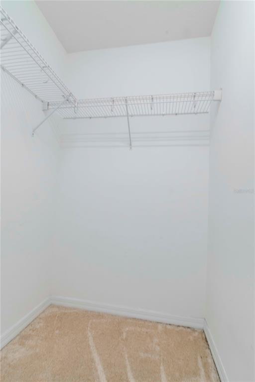 8951 Walnut Gable Court Riverview, FL 33578 - Photo 19 of 24