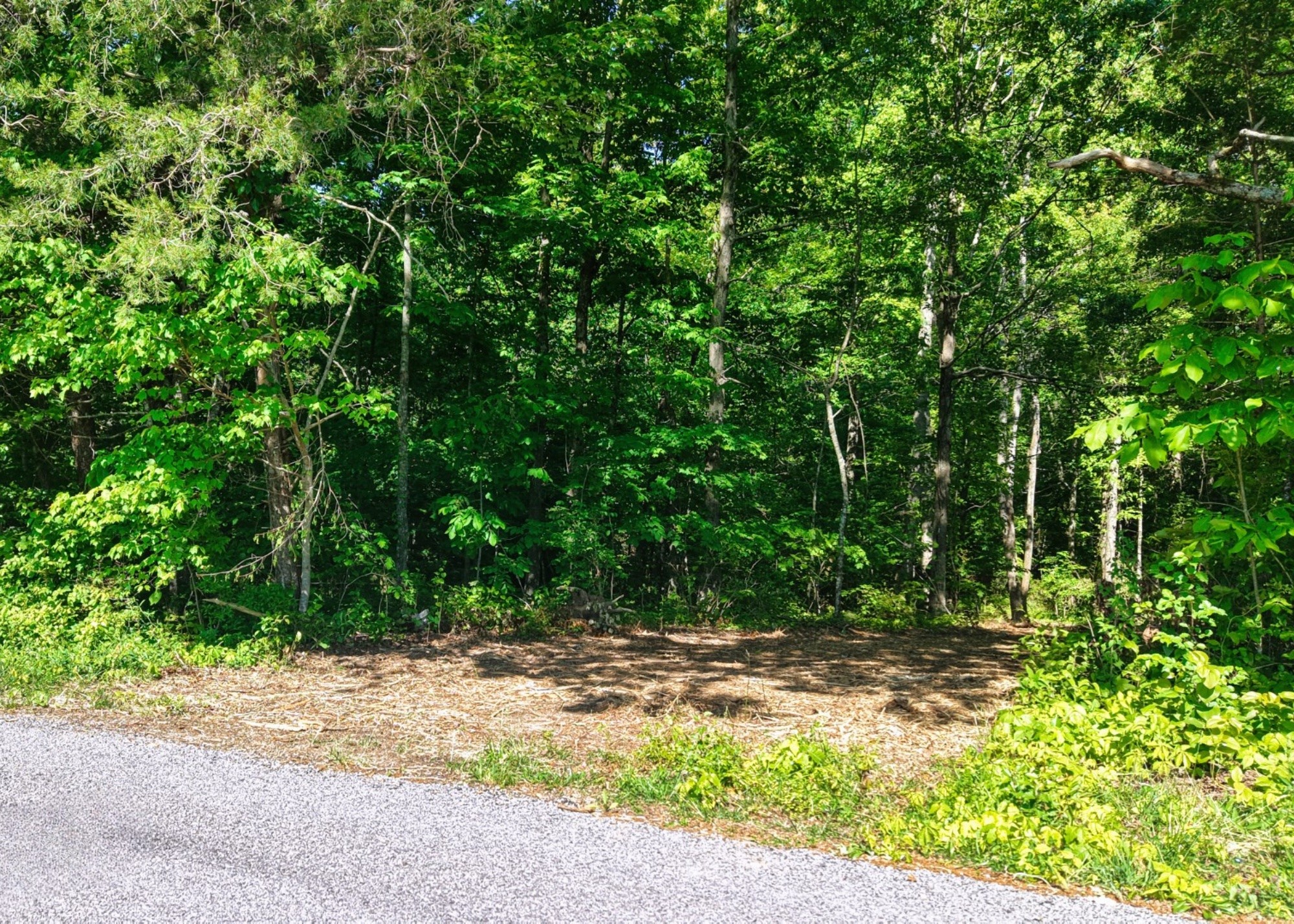 1622 Monteagle Falls Road Monteagle, TN 37356 - Photo 5 of 9