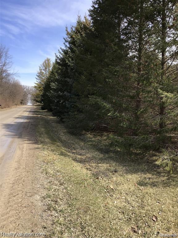4841 Bishop Road Dryden, MI 48428 - Photo 45 of 46