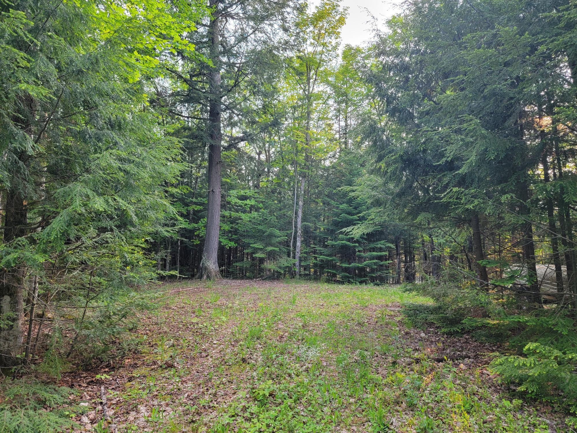 Lot 1 Tapawingo Road Mercer, WI 54547 - Photo 12 of 15 Gallery Image 12