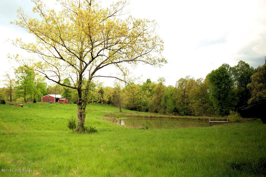 6421 Grancer Road Morgantown, KY 42261 - Photo 25 of 28 114 1 Lacefield Auction